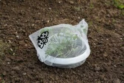 Insektenschutz-Tasche "Staude", 6 Stück -Deutschland Samen Kraft Verkaufs-Shop andermatt biogarten insektenschutz tasche staude 6 stueck 1614107 de