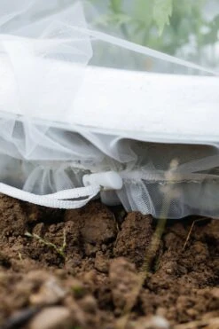 Insektenschutz-Tasche "Staude", 6 Stück