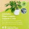 Leimfallen Gelb -Deutschland Samen Kraft Verkaufs-Shop andermatt biogarten leimfallen gelb 1 paket 1663397 de