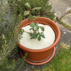 Mulchscheibe, ∅ 25 Cm 14 Mulchscheibe, ∅ 25 Cm -Deutschland Samen Kraft Verkaufs-Shop andermatt biogarten mulchscheibe 100 cm 1683256 de