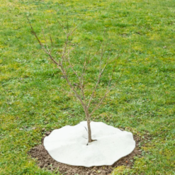 Mulchscheibe, ∅ 25 Cm 12 Mulchscheibe, ∅ 25 Cm -Deutschland Samen Kraft Verkaufs-Shop andermatt biogarten mulchscheibe 100 cm 1683258 de