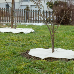 Mulchscheibe, ∅ 25 Cm 15 Mulchscheibe, ∅ 25 Cm -Deutschland Samen Kraft Verkaufs-Shop andermatt biogarten mulchscheibe 100 cm 1683261 de