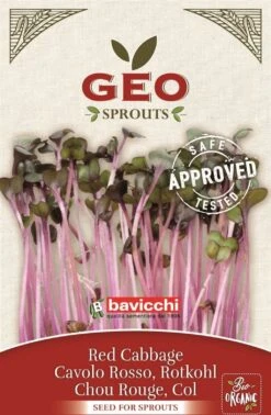 Bio Keimsprossen "Rotkohl", 12 G -Deutschland Samen Kraft Verkaufs-Shop bavicchi bio keimsprossen rotkohl 12 g 1666766 de