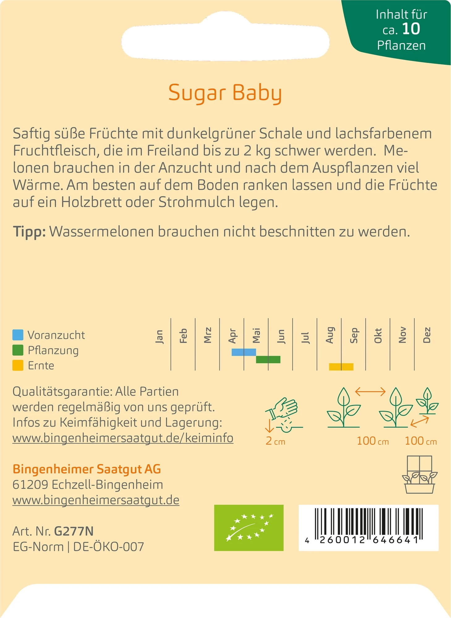 Wassermelone "Sugar Baby" 4 Wassermelone "Sugar Baby" – Bild 2