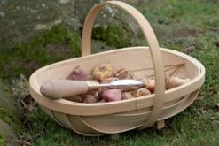 Pflanzhilfe Von Sophie Conran 9 Pflanzhilfe Von Sophie Conran -Deutschland Samen Kraft Verkaufs-Shop burgon ball pflanzhilfe von sophie conran 1 st 1668255 de