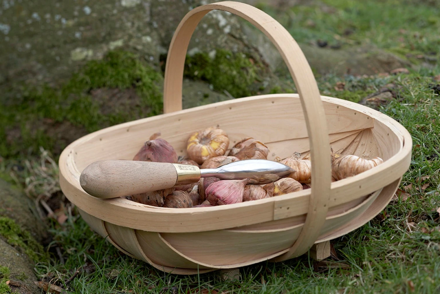 Pflanzhilfe Von Sophie Conran 6 Pflanzhilfe Von Sophie Conran – Bild 4