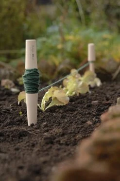 Pflanzschnur 8 Pflanzschnur -Deutschland Samen Kraft Verkaufs-Shop burgon ball pflanzschnur 1651396 de