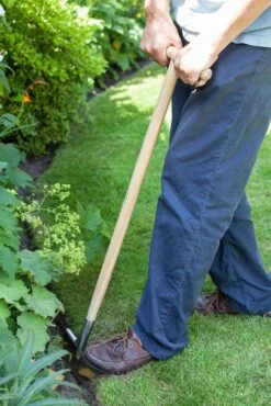 Rasenkantenstecher Aus Edelstahl 19 Rasenkantenstecher Aus Edelstahl -Deutschland Samen Kraft Verkaufs-Shop burgon ball rasenkantenstecher aus edelstahl 1 st 1669329 de