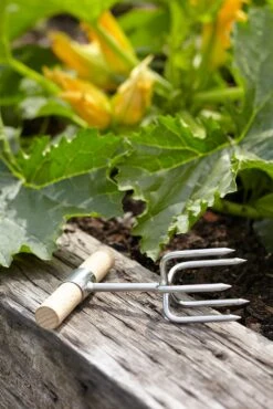 Twist Kultivator Von Sophie Conran -Deutschland Samen Kraft Verkaufs-Shop burgon ball twist kultivator von sophie conran 1 st 1672767 de