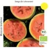 Bio Wassermelone Blacktail Mountain -Deutschland Samen Kraft Verkaufs-Shop culinaris bio wassermelone blacktail mountain 1 paket 1683593 de
