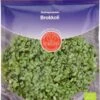 Keimsprossen "Brokkoli", 25 G 2 Keimsprossen "Brokkoli", 25 G -Deutschland Samen Kraft Verkaufs-Shop de bolster keimsprossen brokkoli 25 g 1650472 de