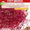 BIO-Keimsprossen Rote Rüben -Deutschland Samen Kraft Verkaufs-Shop duerr samen bio keimsprossen rote rueben 1 paket 1675558 de