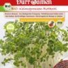 BIO-Keimsprossen Rotkohl -Deutschland Samen Kraft Verkaufs-Shop duerr samen bio keimsprossen rotkohl 1 paket 1675562 de