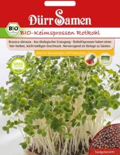 BIO-Keimsprossen Rotkohl