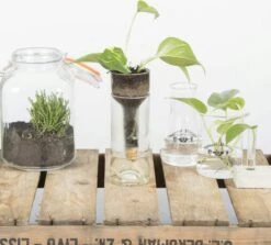 ESSCHERT DESIGN Selbstbewässernder Flaschentopf -Deutschland Samen Kraft Verkaufs-Shop esschert design selbstbewaessernder flaschentopf 1 stk 1211743 de