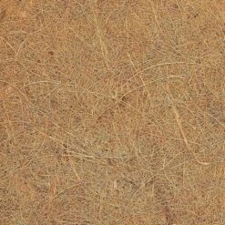 Schutzmatte Kokos 200x100 -Deutschland Samen Kraft Verkaufs-Shop fair zone schutzmatte kokos 200x100 1 st 1678869 de