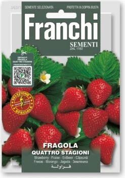 Erdbeeeren "Quattro Stagioni" 5 Erdbeeeren "Quattro Stagioni" -Deutschland Samen Kraft Verkaufs-Shop franchi sementi erdbeeeren quattro stagioni 1 stk 1691996 de