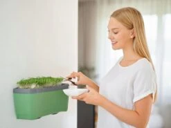 Harry Herbs Kräutertopf - Ohne Haube, Dunkelgrün -Deutschland Samen Kraft Verkaufs-Shop gusta garden harry herbs kraeutertopf ohne haube temno zelena 1680758 de