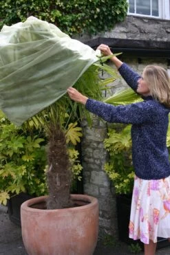 Easy Fleece Hülle, Medium (3 Stück) -Deutschland Samen Kraft Verkaufs-Shop haxnicks easy fleece huelle 493905 de