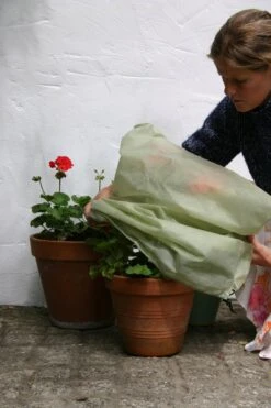 Easy Fleece Hülle, Medium (3 Stück) -Deutschland Samen Kraft Verkaufs-Shop haxnicks easy fleece huelle 493923 de