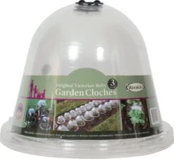 Originale Viktorianische Pflanzglocke, 3 Stück -Deutschland Samen Kraft Verkaufs-Shop haxnicks originale viktorianische pflanzglocke 3 st 1666005 de