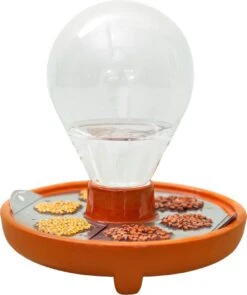 "Patella Crescenda" - Natürliches Keimset -Deutschland Samen Kraft Verkaufs-Shop house of thol patella crescenda natuerliches keimset 1664660 de