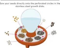 "Patella Crescenda" - Natürliches Keimset -Deutschland Samen Kraft Verkaufs-Shop house of thol patella crescenda natuerliches keimset 1682825 de