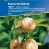 Melonenbirne "Pepino" -Deutschland Samen Kraft Verkaufs-Shop kiepenkerl melonenbirne pepino 1 pkg 1556883 de