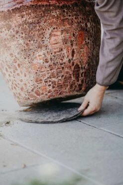 Schutzmatte Aus Wolle, Ø21 Cm (2 Stück) -Deutschland Samen Kraft Verkaufs-Shop nelson garden schutzmatte aus wolle 1459840 de