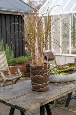 Winterschutz Wollmatte -Deutschland Samen Kraft Verkaufs-Shop nelson garden winterschutz wollmatte 1459871 de