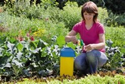 Neudosan® Obst-& GemüseSchädlingsfrei, 250 Ml Reg. Nr. 2622-901 -Deutschland Samen Kraft Verkaufs-Shop neudorff neudosan obst gemueseschaedlingsfrei 250 ml 879762 de