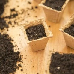 Abbaubare Anzuchttöpfe Eckig, 120 Stück -Deutschland Samen Kraft Verkaufs-Shop own grown abbaubare anzuchttoepfe eckig 120 st 1679322 de