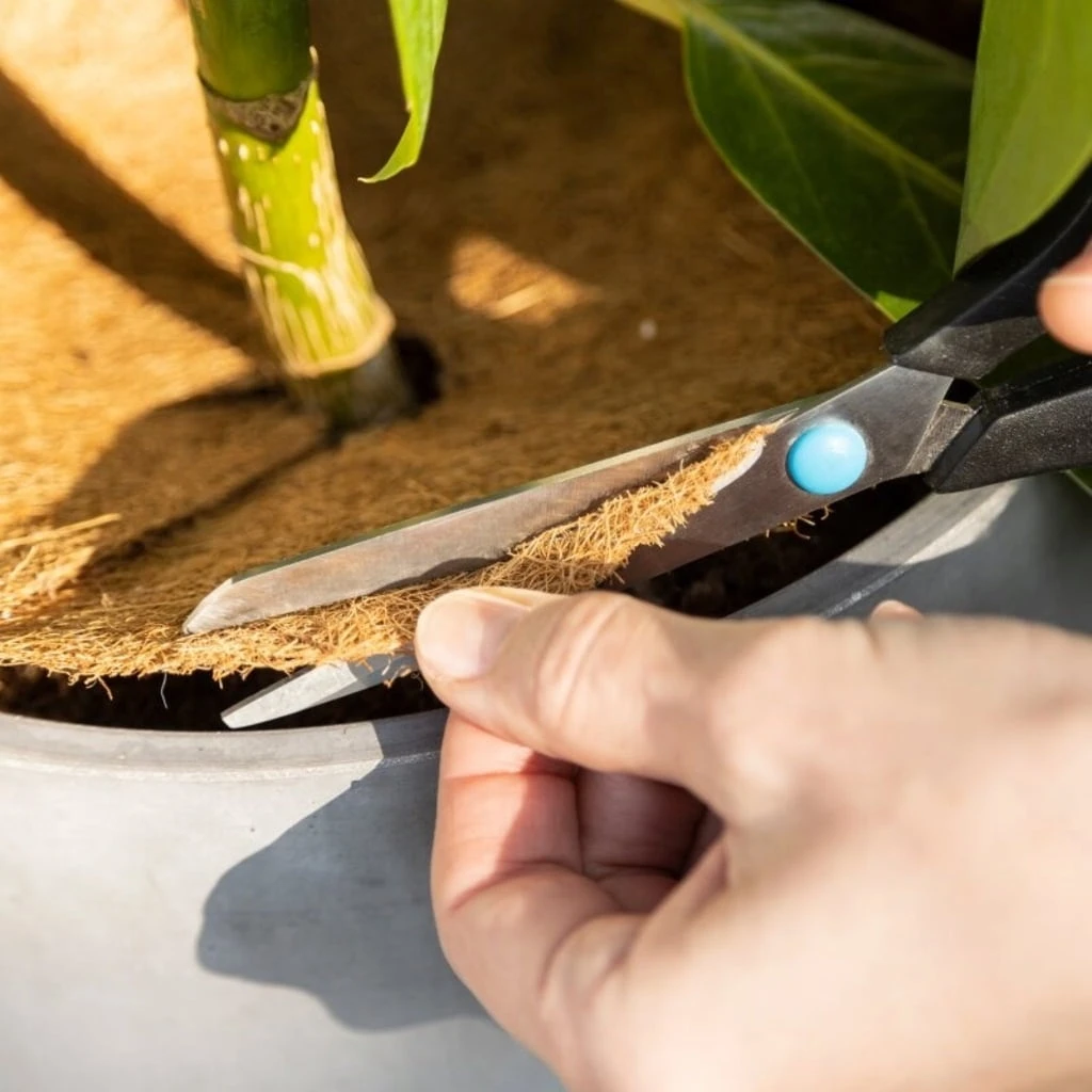 Kokosmulchscheiben Winterschutz 7 Kokosmulchscheiben Winterschutz – Bild 5