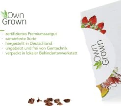 Saatgut "Rhabarber" -Deutschland Samen Kraft Verkaufs-Shop own grown saatgut rhabarber 1525849 de