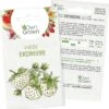 Saatgut "Weiße Erdbeere" 2 Saatgut "Weiße Erdbeere" -Deutschland Samen Kraft Verkaufs-Shop own grown saatgut weisse erdbeere 1525933 de