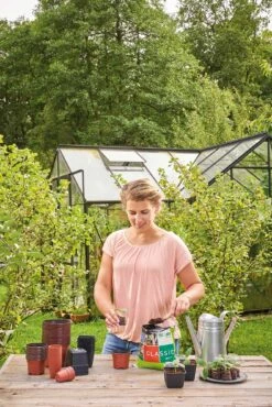 12 Kunststofftöpfe9 Cm Quadr., Schwarz -Deutschland Samen Kraft Verkaufs-Shop romberg 12 kunststofftoepfe 9 cm quadr schwarz 1 st 906150 de