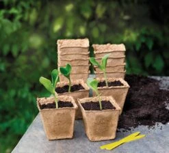 14 Anzuchttöpfe 8 Cm Quadratisch -Deutschland Samen Kraft Verkaufs-Shop romberg 14 anzuchttoepfe 8 cm quadratisch 1 paket 1668654 de