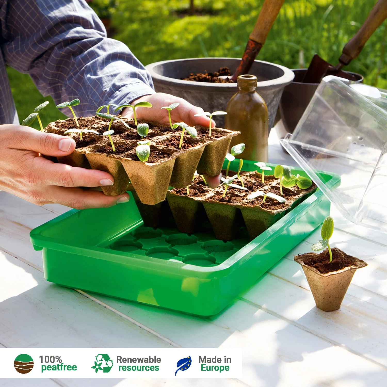 144 Anzuchttöpfe 5 Cm - 12 Strips à 12 Töpfe 3 144 Anzuchttöpfe 5 Cm - 12 Strips à 12 Töpfe