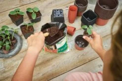 22 Kunststofftöpfe 5 Cm Rund - Terracotta -Deutschland Samen Kraft Verkaufs-Shop romberg 22 kunststofftoepfe 55 cm rund terracotta 1 st 906000 de