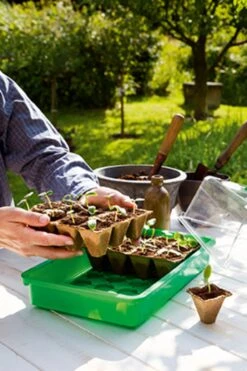 36 Anzuchttöpfe 5 Cm - 6 Strips à 6 Töpfe -Deutschland Samen Kraft Verkaufs-Shop romberg 36 anzuchttoepfe 5 cm 6 strips a 6 toepfe 1 paket 1668656 de