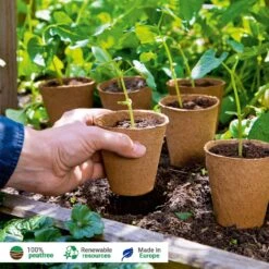 48 Anzuchttöpfe 8 Cm Rund, 48 Stück -Deutschland Samen Kraft Verkaufs-Shop romberg 48 anzuchttoepfe 8 cm rund 1501608 de