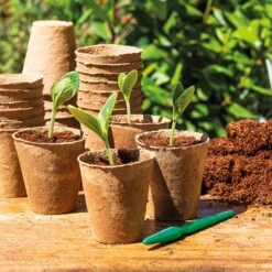 96 Anzuchttöpfe 6 Cm Rund -Deutschland Samen Kraft Verkaufs-Shop romberg 96 anzuchttoepfe 6 cm rund 1501554 de