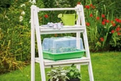 Classic Gewächshaus M -Deutschland Samen Kraft Verkaufs-Shop romberg classic gewaechshaus m 1 st 908870 de