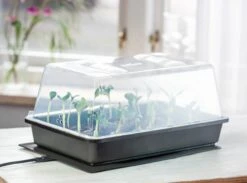 Power Gewächshaus "Thermo M" -Deutschland Samen Kraft Verkaufs-Shop romberg power gewaechshaus thermo m 1 st 907776 de