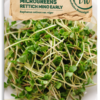 Bio Keimsprossen/Microgreens - Rucola 1 Bio Keimsprossen/Microgreens - Rucola -Deutschland Samen Kraft Verkaufs-Shop samen maier bio keimsprossen microgreens rucola 1672936 de