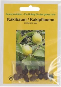 Deutschland Samen Kraft Verkaufs-Shop -Deutschland Samen Kraft Verkaufs-Shop tropica kakibaum 10 korn 522833 de