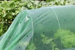 Windhager Folien-Tunnel Komplett Set -Deutschland Samen Kraft Verkaufs-Shop windhager folien tunnel komplett set 1 set 761377 de