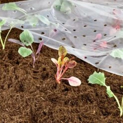 Windhager Frühbeet-Folie 7 Windhager Frühbeet-Folie -Deutschland Samen Kraft Verkaufs-Shop windhager fruehbeet folie 1 k 1166804 de