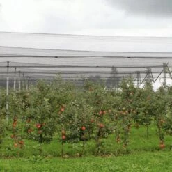 Windhager Hagelschutz-Netz, 5x4m -Deutschland Samen Kraft Verkaufs-Shop windhager hagelschutz netz 1168908 de