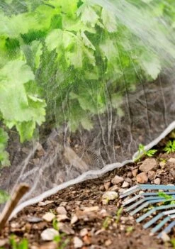 Windhager Insektenschutz-Netz -Deutschland Samen Kraft Verkaufs-Shop windhager insektenschutz netz 1 st 1666264 de